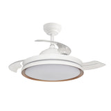 Windy 42" Ceiling Fan - 3 Blades with LED light