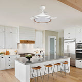 Windy 42" Ceiling Fan - 3 Blades with LED light