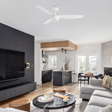 Windy 52" Ceiling Fan - 3 Blades with LED light
